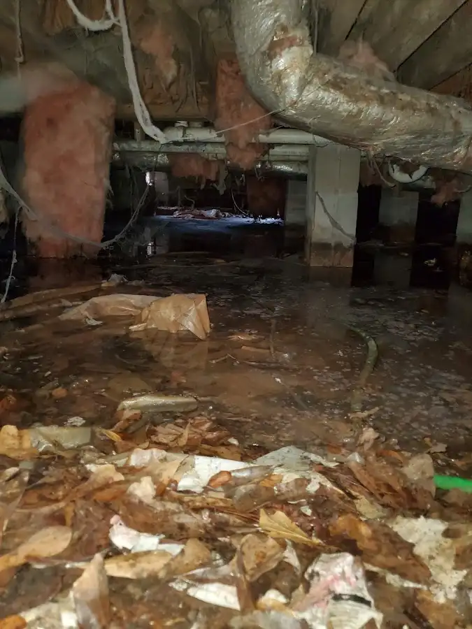 Crawl space flood assessment for Leak Detection & Repair in Charlton
