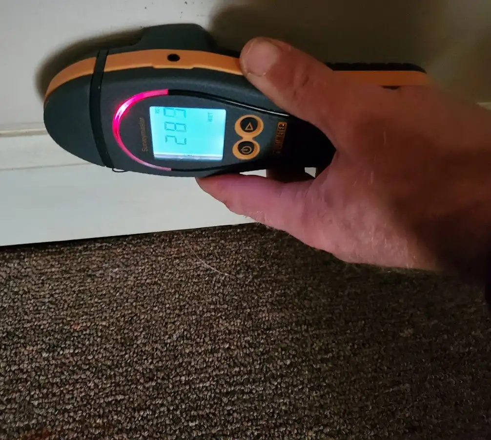Moisture detection at baseboard during Sewage Cleanup & Sanitation in Charlton